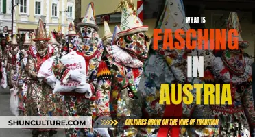 Exploring Austria's Fasching: A Colorful Carnival Celebration