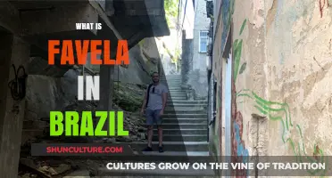 Understanding Brazil's Favelas: History, Culture, and Community Life Explained