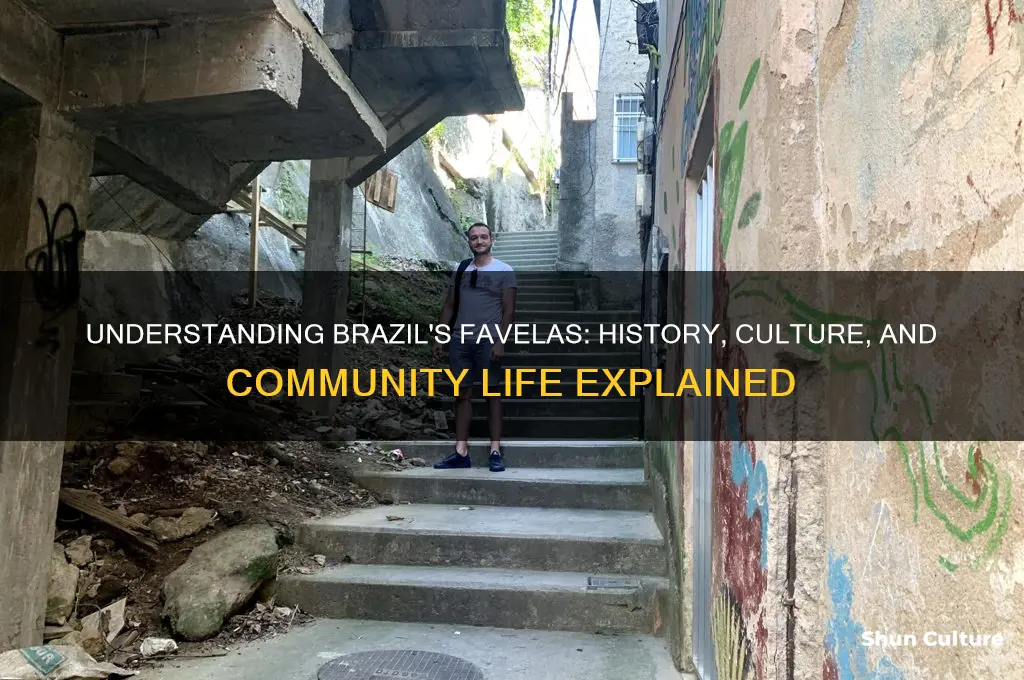 what is favela in brazil
