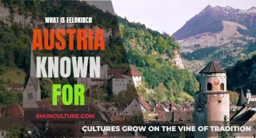 Feldkirch's Austrian Charm: A Cultural and Historical Overview