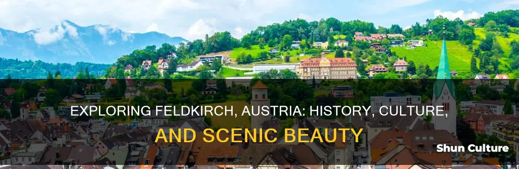 what is feldkirch austria known for