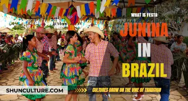 Exploring Brazil's Festa Junina: Traditions, Food, and Celebrations Explained