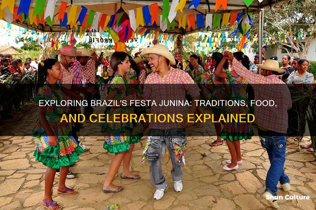 what is festa junina in brazil