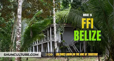 The FFI Belize Initiative: Unlocking the Secrets of Belize's Tropical Forests