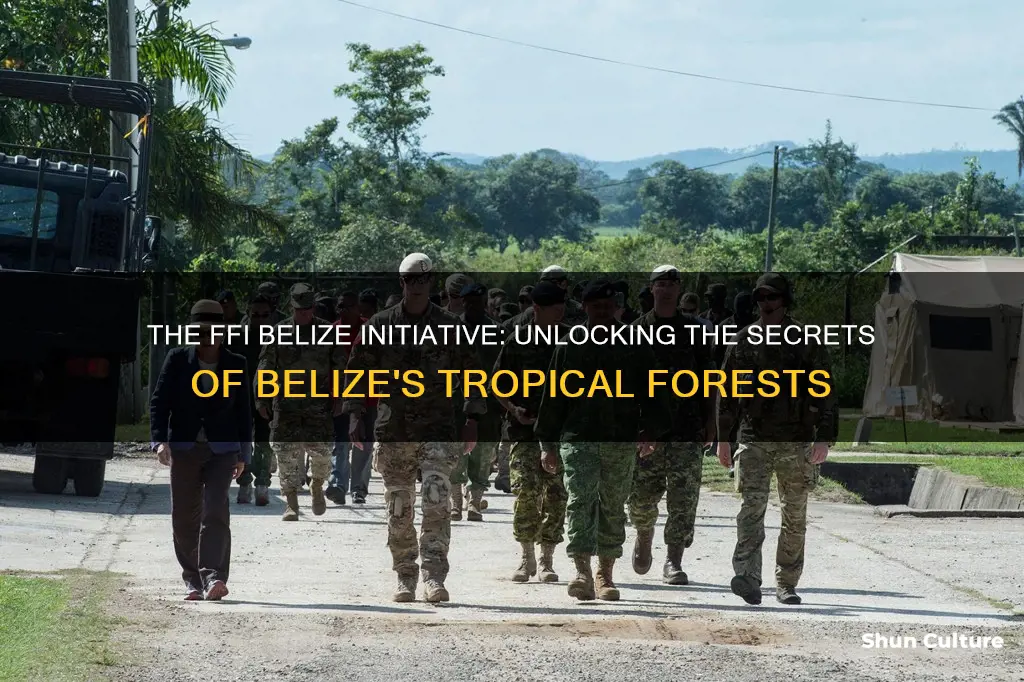 what is ffi belize