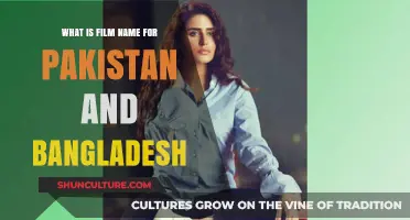 Exploring the Cinematic Identities of Pakistan and Bangladesh: Film Names Unveiled