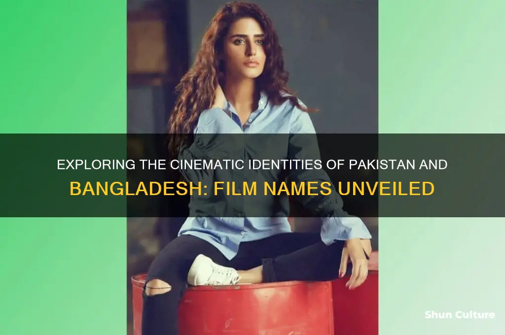 what is film name for pakistan and bangladesh