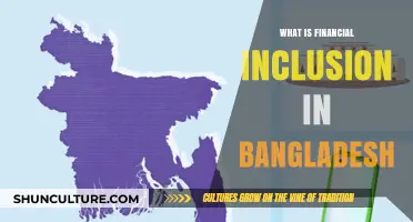 Empowering Bangladesh: Understanding Financial Inclusion's Impact and Progress