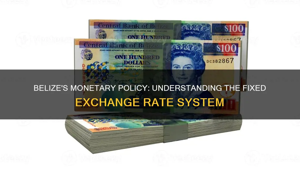 what is fixed echange rate common in belize