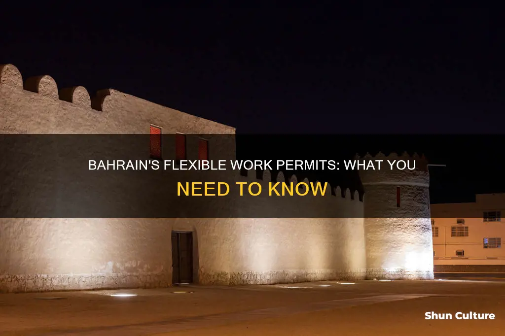 what is flexible work permit in bahrain