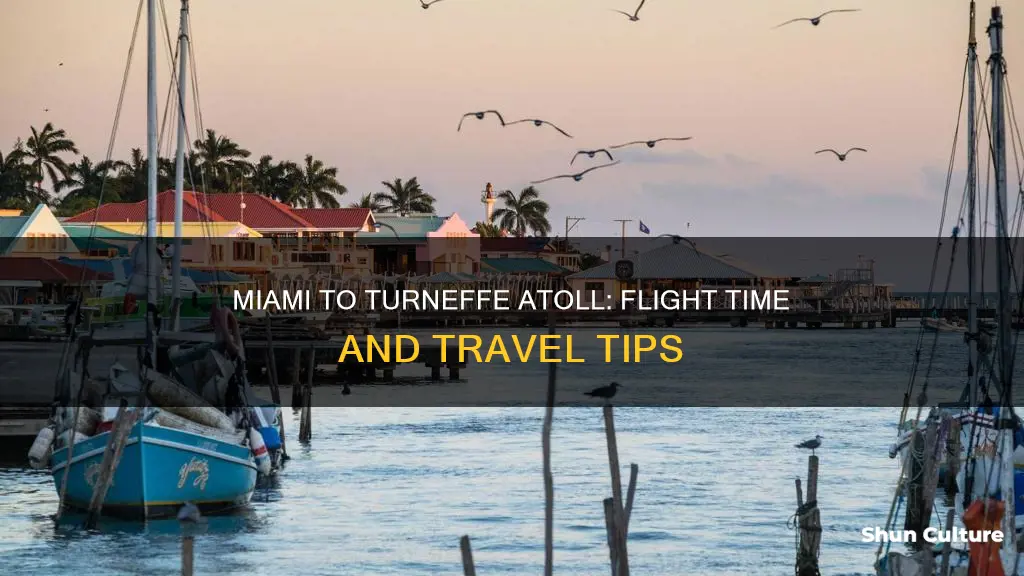 what is flight time from miami to turneffe belize