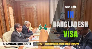 Understanding FM Category in Bangladesh Visa Application Process