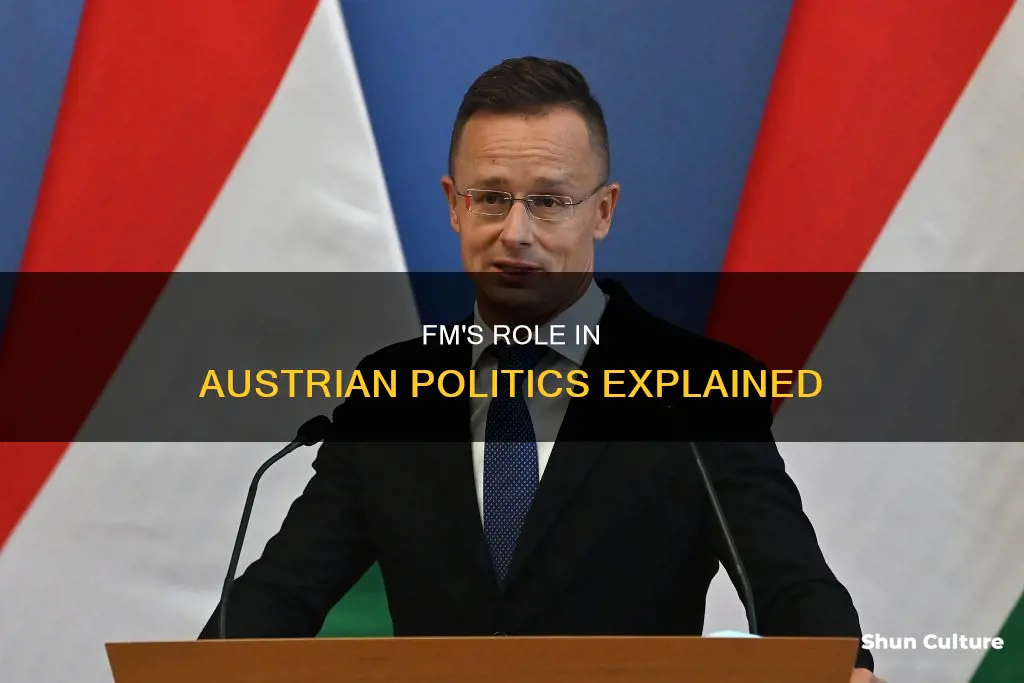 what is fm in in politics in austria