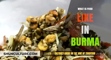 Exploring the Rich Flavors of Burmese Cuisine: A Culinary Journey