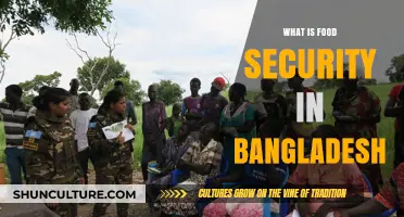 Understanding Bangladesh's Food Security Challenges and Sustainable Solutions