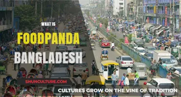 Exploring Foodpanda Bangladesh: Services, Impact, and Convenience in the Country