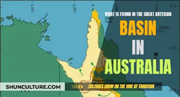 The Great Artesian Basin: Australia's Water Source