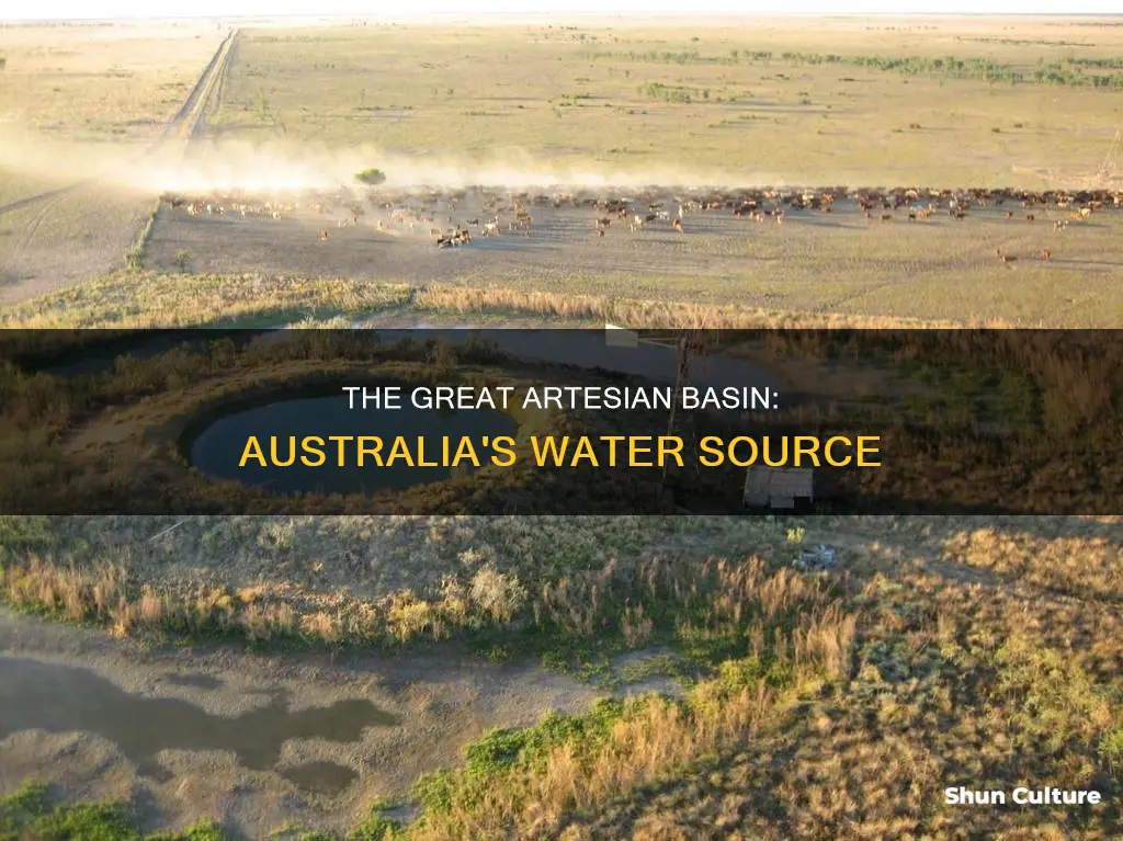 what is found in the great artesian basin in australia