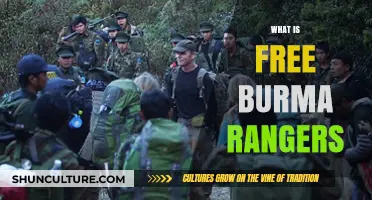 Exploring the Mission and Impact of Free Burma Rangers