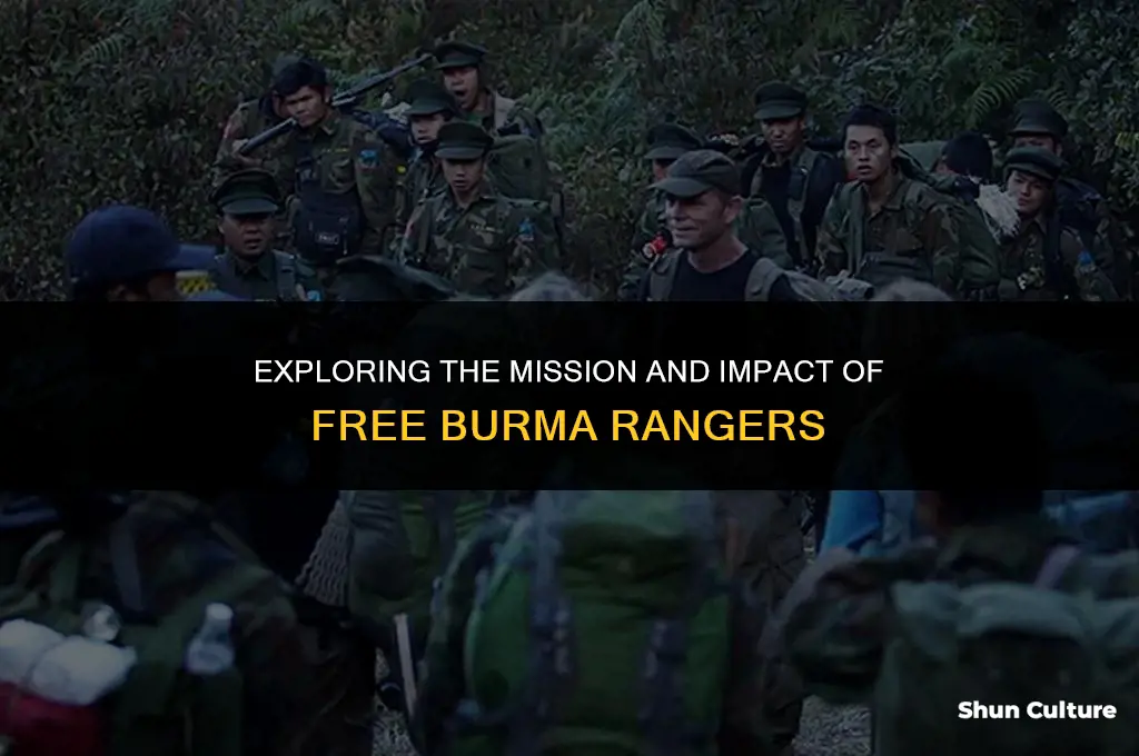 what is free burma rangers
