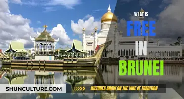 Free Attractions and Activities in Brunei