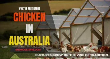 Free-Range Chicken in Australia: What's the Deal?