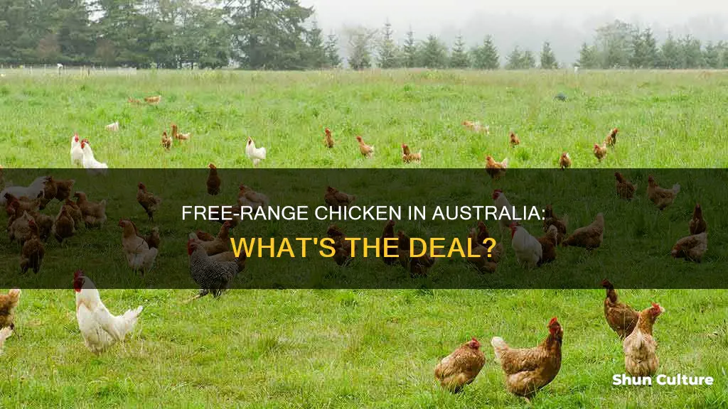 what is free range chicken in australia