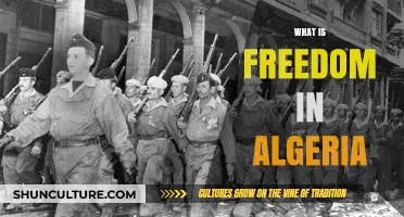 Exploring Algeria's Freedom: History, Challenges, and Aspirations for Independence