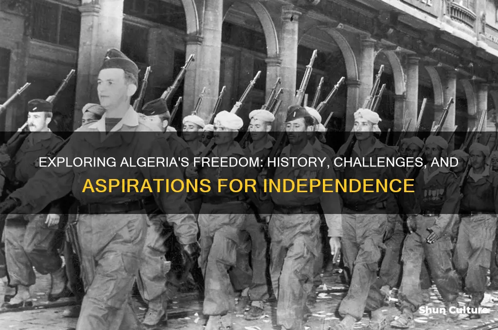 what is freedom in algeria