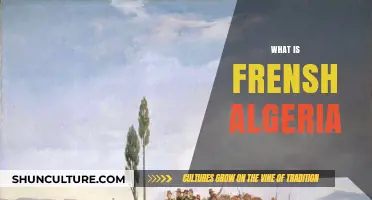 Understanding French Algeria: History, Impact, and Legacy Explained