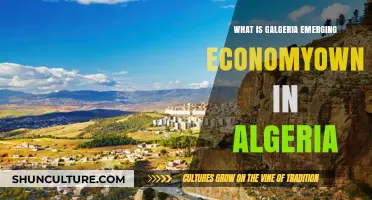 Algeria's Emerging Economy: Growth, Challenges, and Opportunities Ahead