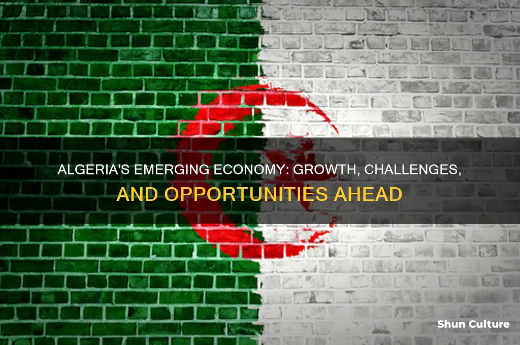 what is galgeria emerging economyown in algeria