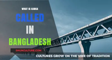 The Ganges in Bangladesh: Exploring the River's Local Name