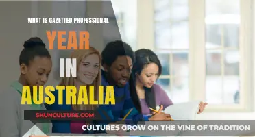 Understanding Australia's Gazetted Professional Year Program: Benefits and Eligibility