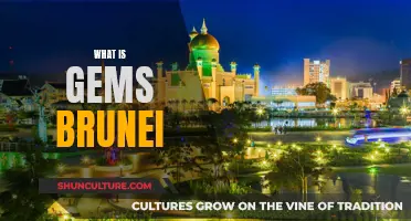 Gems Brunei: Unlocking the Country's Hidden Treasures