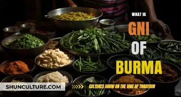 Unveiling the Culinary Secrets: A Journey into Burmese Gastronomy