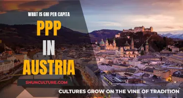 Austria's Economic Powerhouse: Understanding GNI per Capita PPP