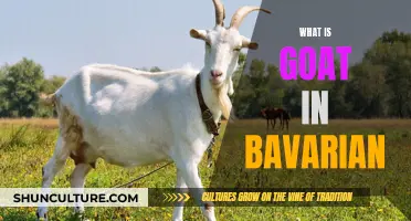 Goat in Bavarian: Understanding the Unique Language and Culture