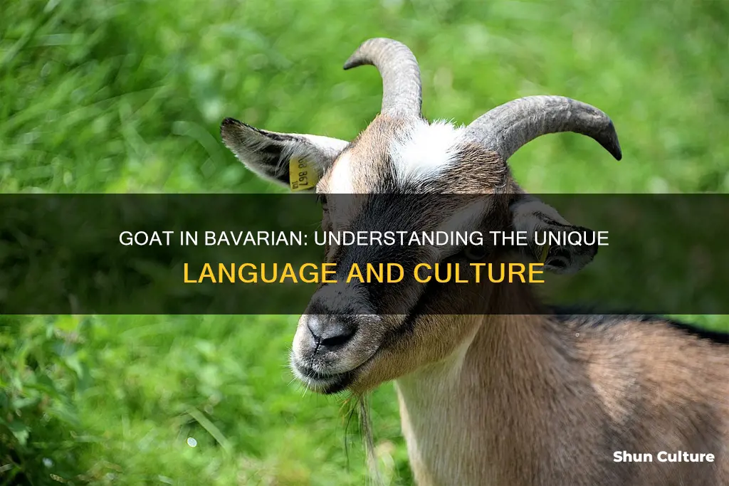 what is goat in bavarian