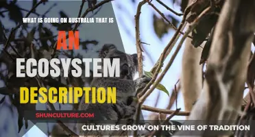 Exploring Australia's Unique Ecosystems: A Comprehensive Overview of Biodiversity