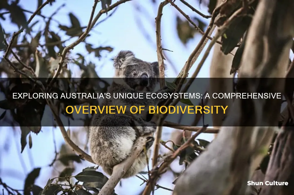 what is going on australia that is an ecosystem description