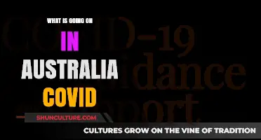 Australia's COVID-19 Situation: Current Updates, Trends, and Public Health Measures