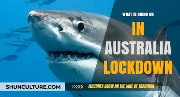 Australia's Lockdown: Unraveling the Current Situation and Its Impact