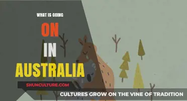 Australia's Current Affairs: Politics, Climate, and Social Changes Explained