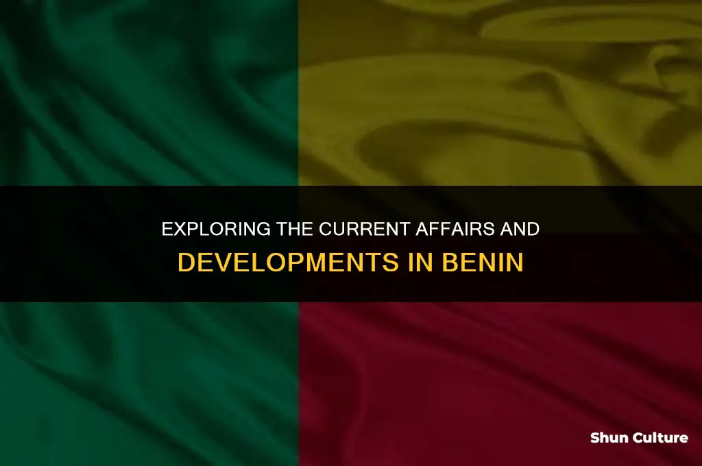 what is going on in benin