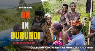 Unraveling the Complexities: Burundi's Current Affairs Explained