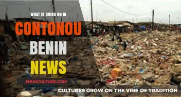 Unveiling the Latest Happenings in Cotonou, Benin: A News Roundup