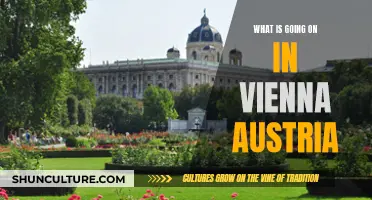 Vienna's Vibrant Summer: Festivals, Culture, and More!