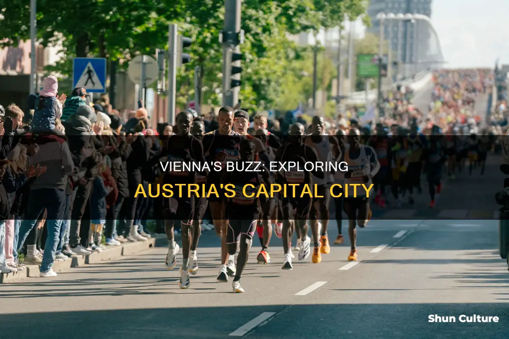 what is going on in vienna austria