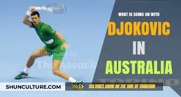 Djokovic's Australian Visa Saga: Unraveling the Controversy and Fallout